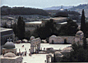 Aqsa_Sa5ra (06).jpg